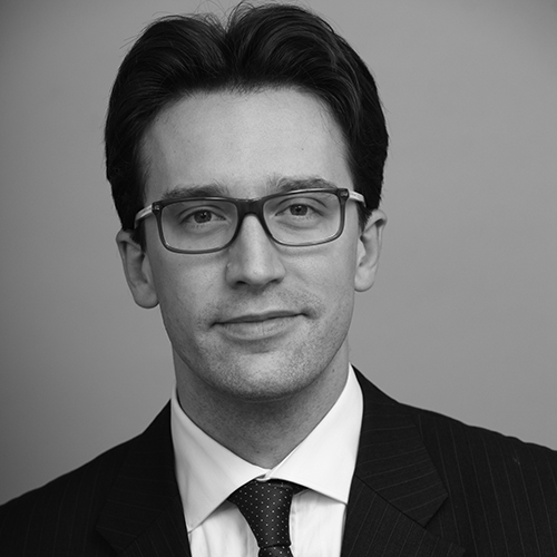 Fabien  Roques